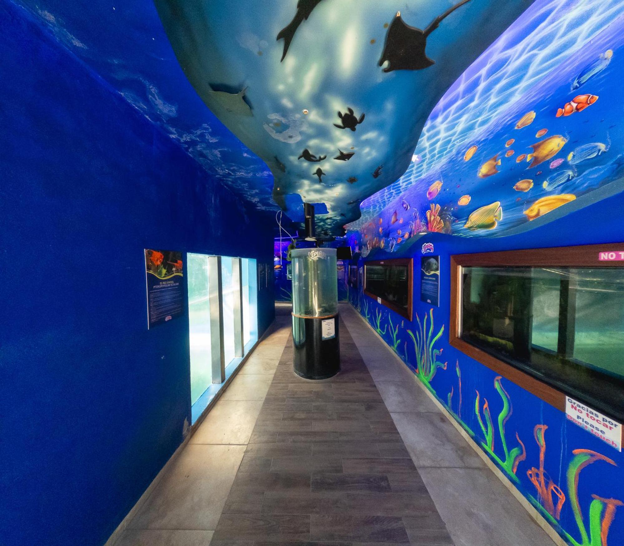 Splash Inn Nuevo Vallarta & Parque Acuatico 外观 照片