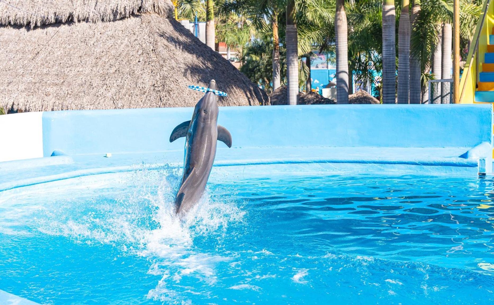 Splash Inn Nuevo Vallarta & Parque Acuatico 外观 照片