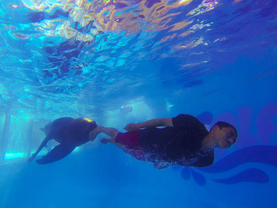 Splash Inn Nuevo Vallarta & Parque Acuatico 外观 照片