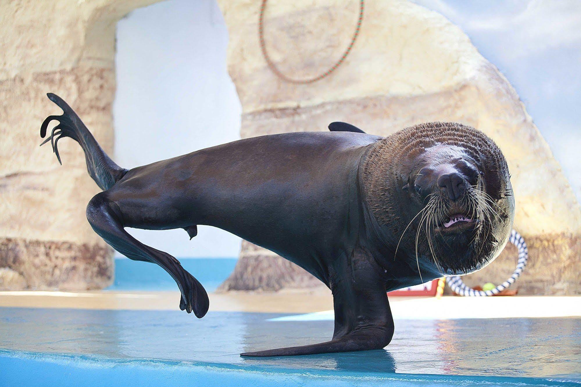 Splash Inn Nuevo Vallarta & Parque Acuatico 外观 照片